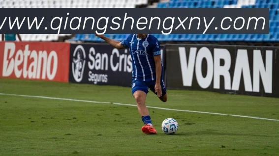 奖项证书